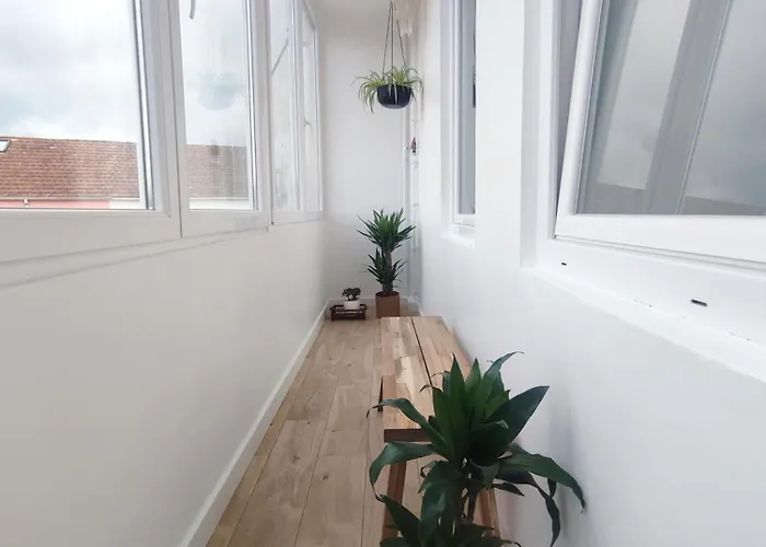 Canido Con Vistas Ferrol